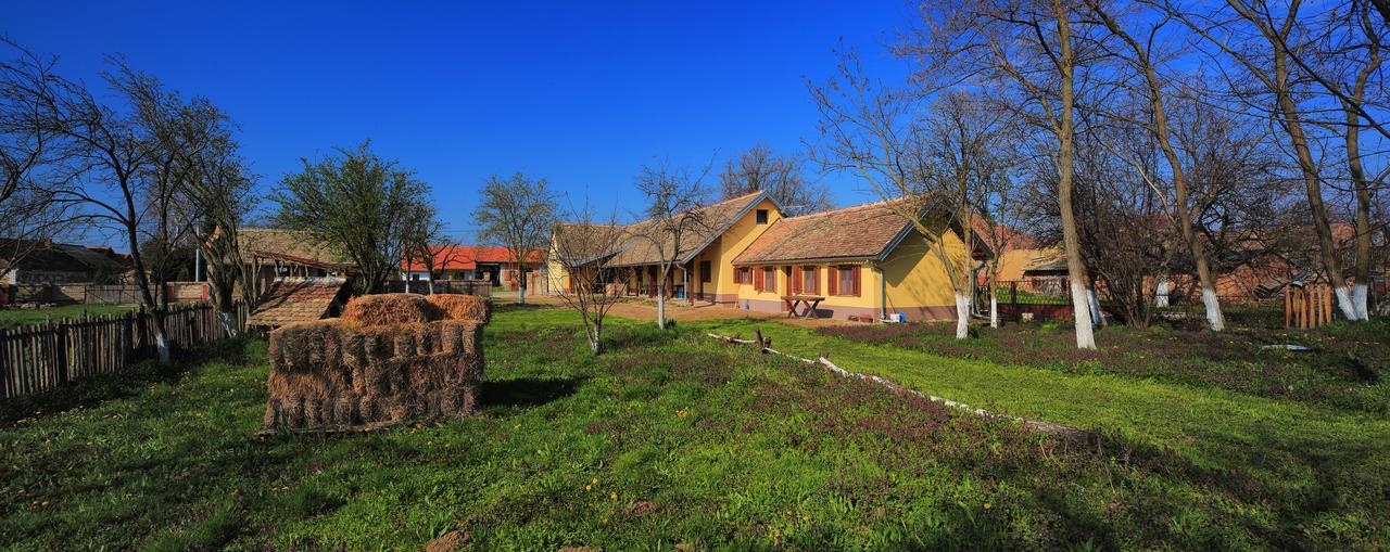 Bed and Breakfast Sobe Kod Baje - Baranjska Kuca Karanac Экстерьер фото