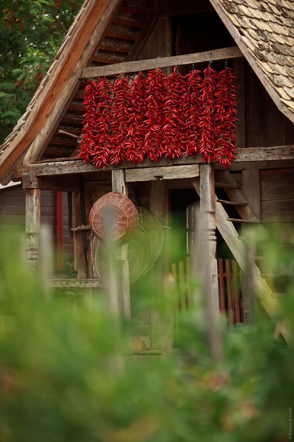 Bed and Breakfast Sobe Kod Baje - Baranjska Kuca Karanac Экстерьер фото